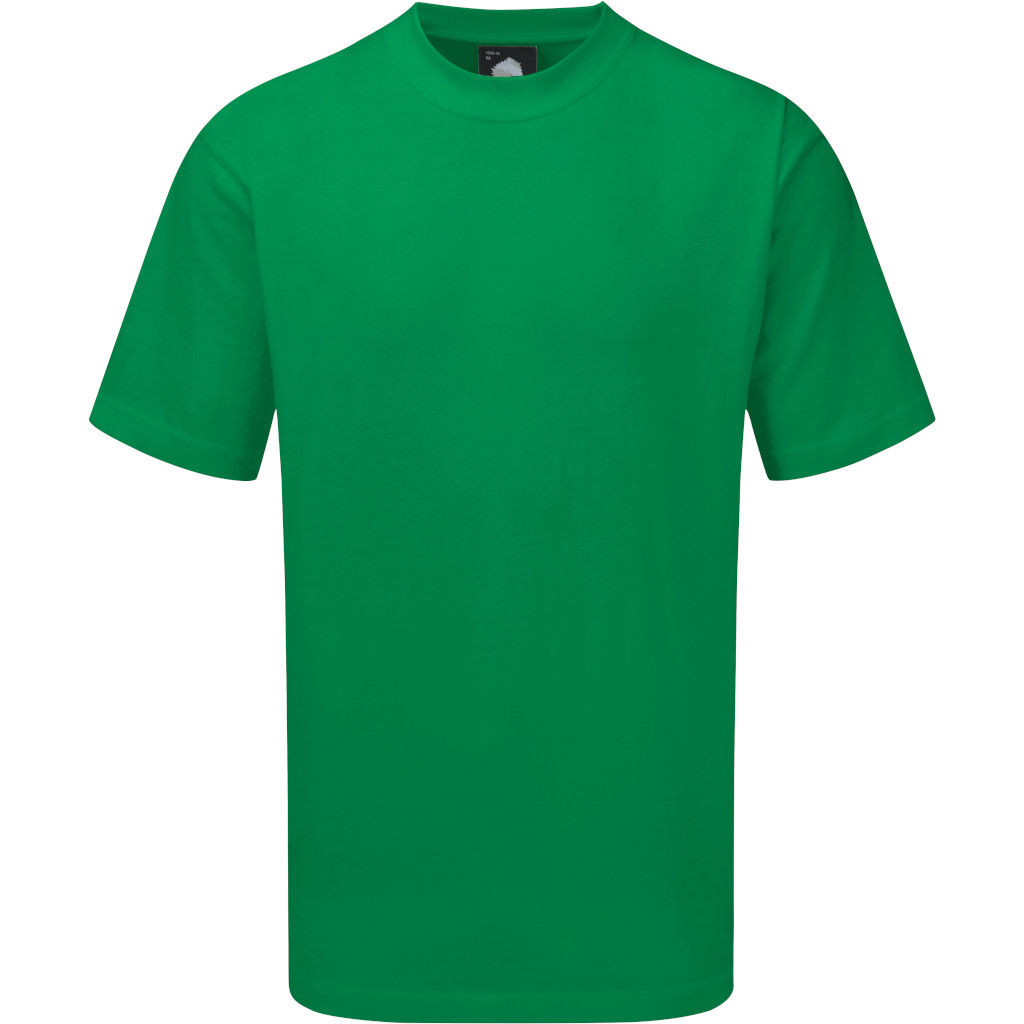 Orn Plover Premium T-shirt