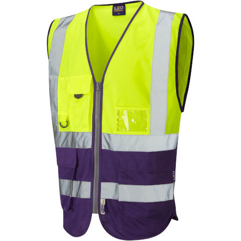 Yellow/Purple