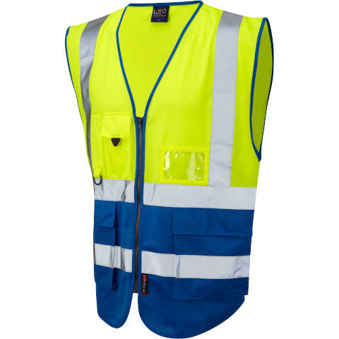 Yellow/Royal Blue